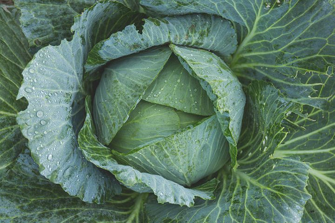 3 Steps to Effective Detox - updated